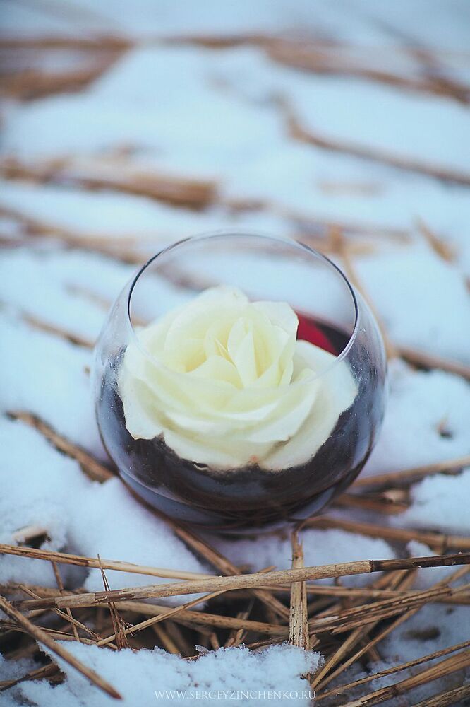 Girl & Rose