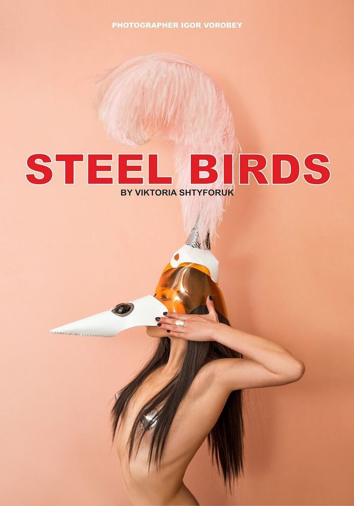 STEEL BIRDS