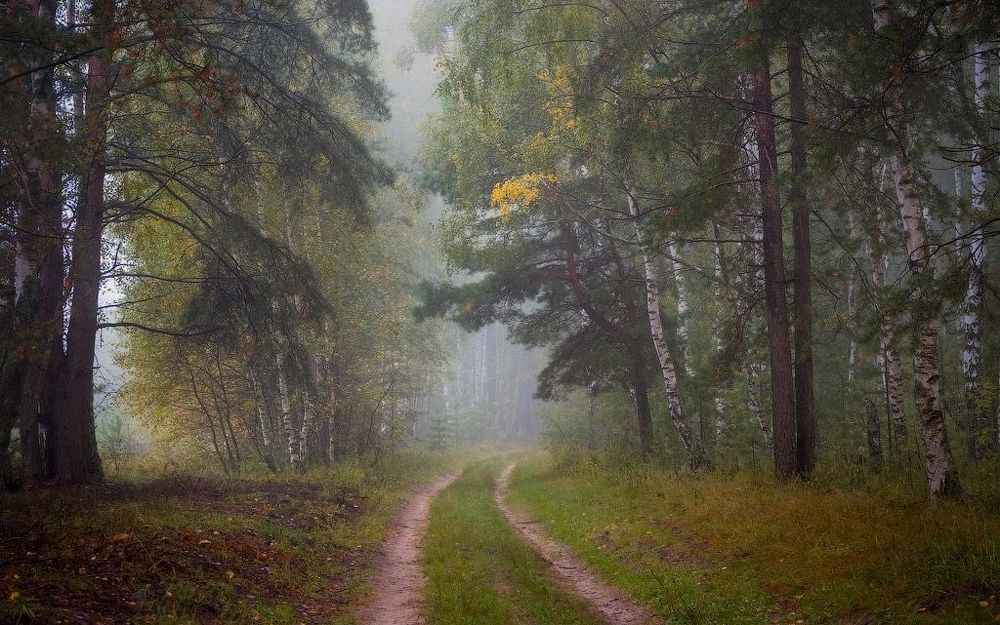 Приходит осень постепенно