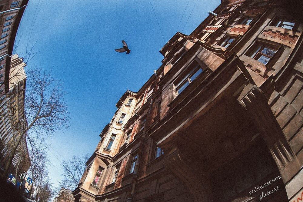 Волшебные дворы Питера
