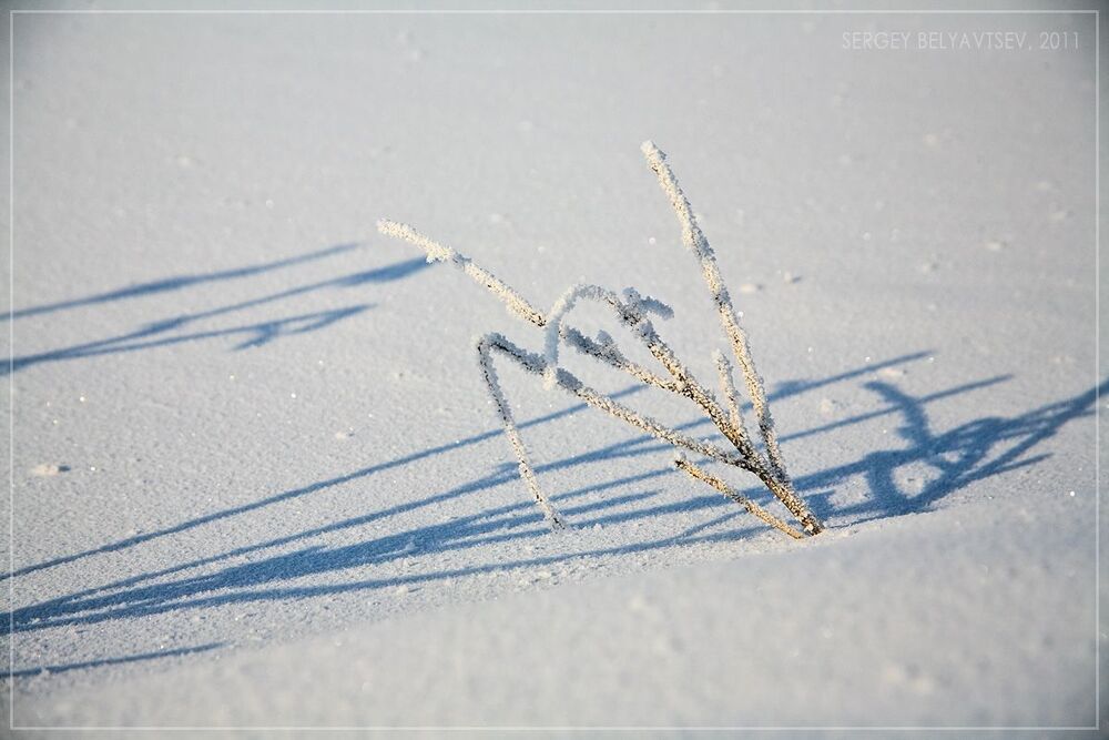 Под ногами