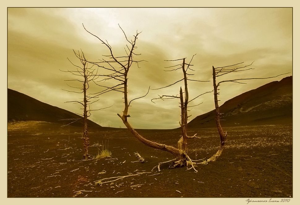Июль 2010. Север камчатки. Мертвый лес образовался после извержения вулкана Толбачик. Вулканический пепел покрыл все на расстоянии 20 км. Выглядит очень необычно и таинственно. Вороны тут не каркают, из живности - только туристы. :) Вокруг - вулканические конусы. Пахнет серой, земля теплая, ноги проваливаются в шлак по щиколотку.