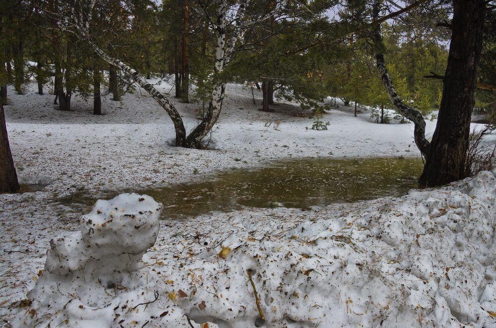 Зелень сосен, отражаясь в воде придавала ей зеленый оттенок.