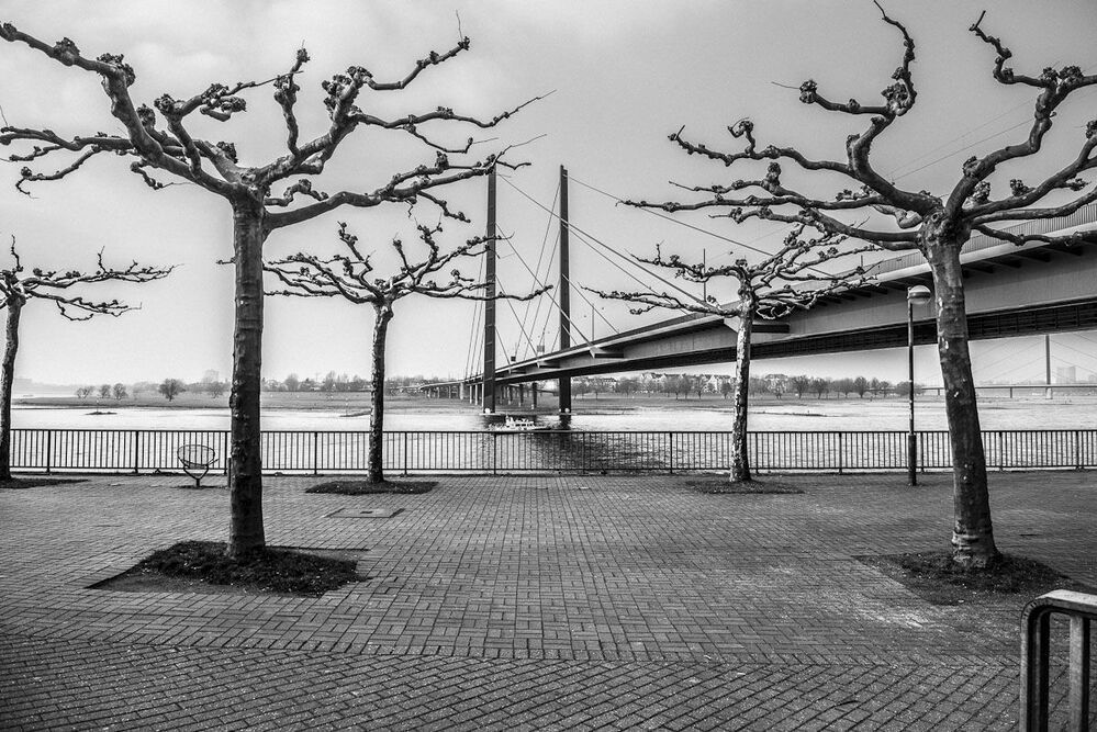 D&uuml;sseldorf