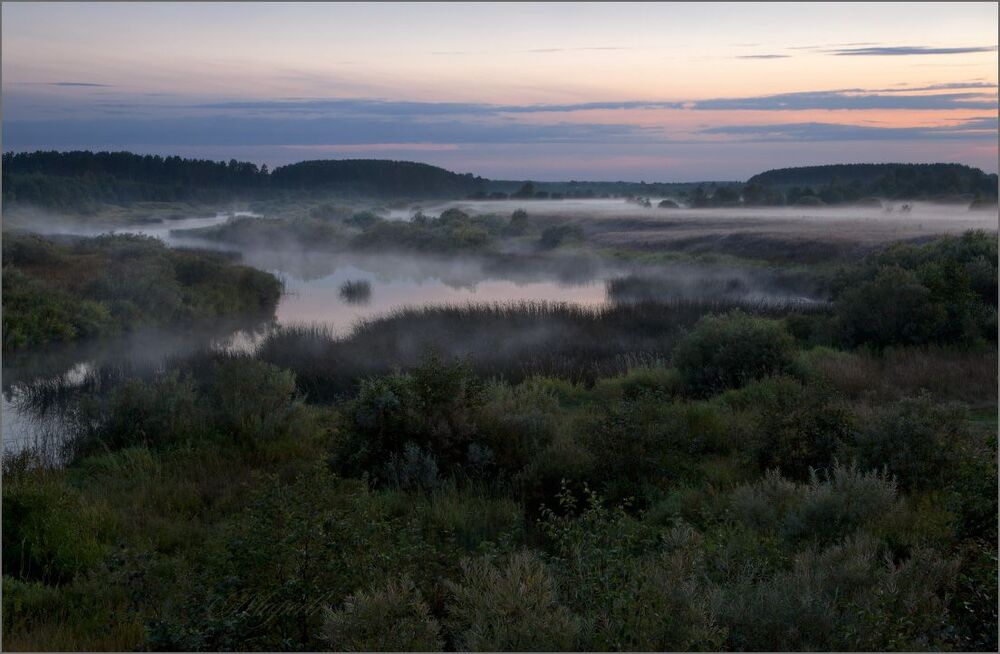 В летних сумерках