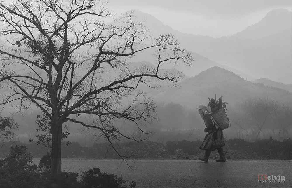 Trong Sương Sớm