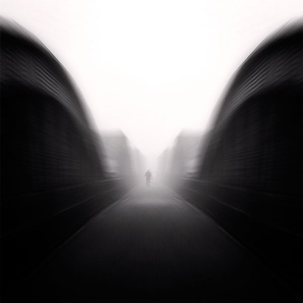 Lost in the mist