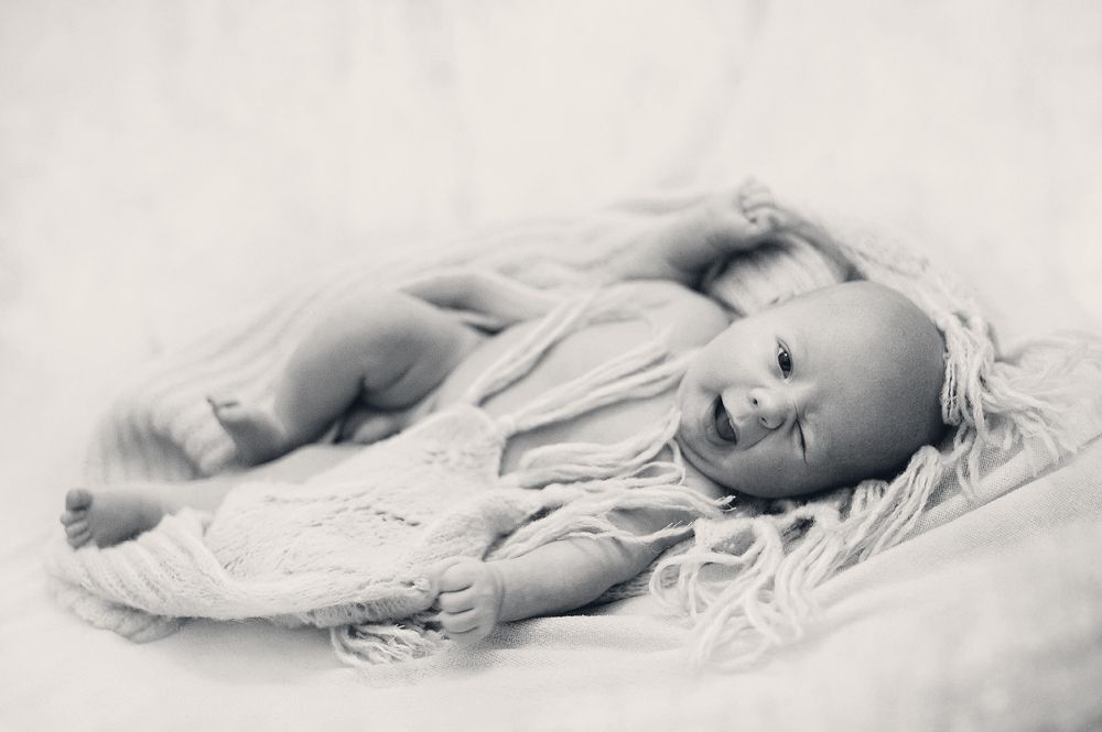 Photo 373398