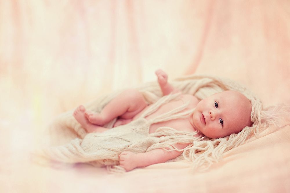Photo 373399