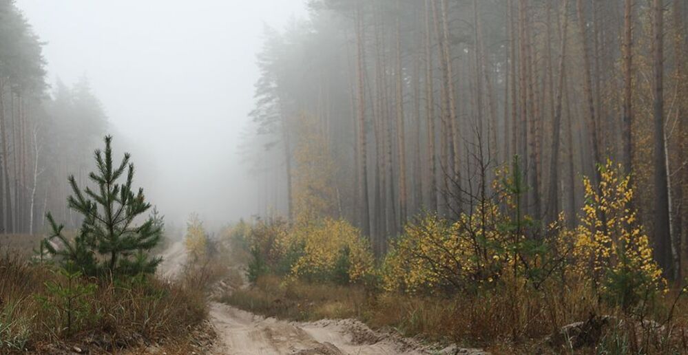 Осеннее настроение