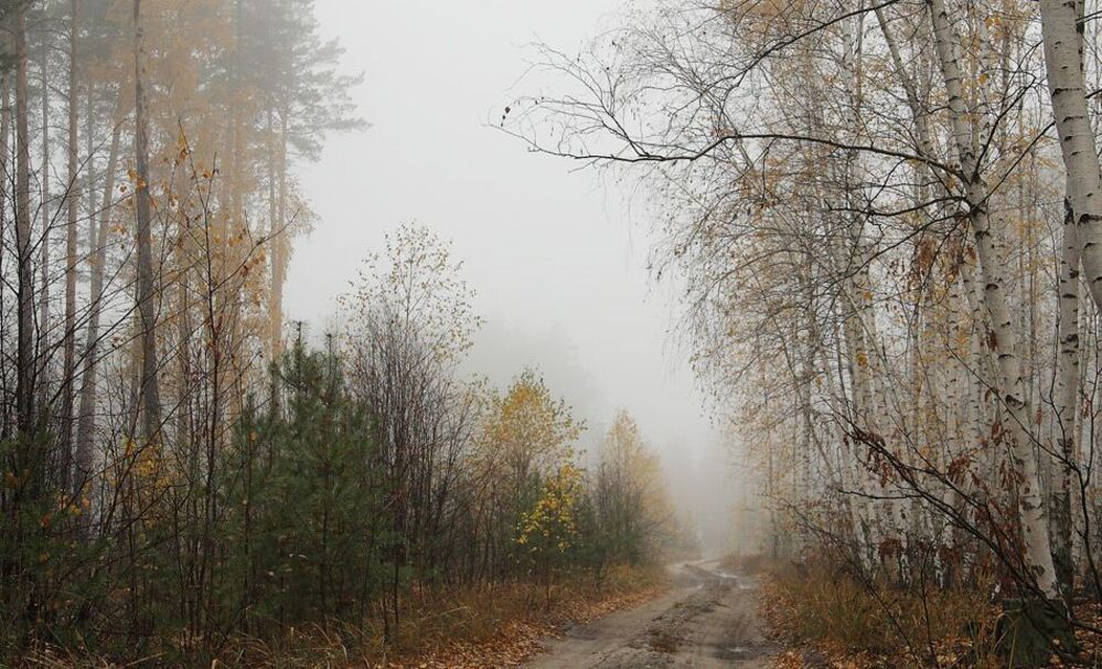 Осеннее настроение