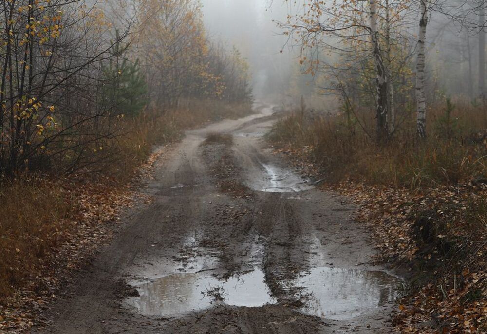 Осеннее настроение