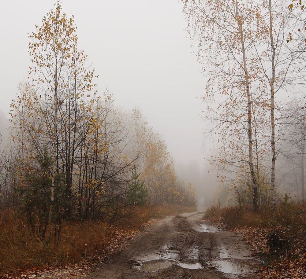 Осеннее настроение