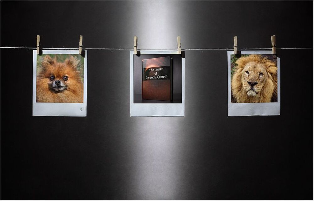 Личностный рост (The power of personal growth)
