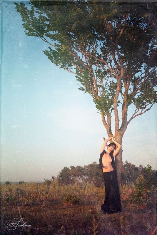 Photo 378262