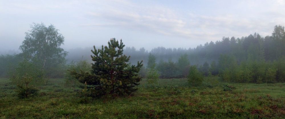 Встречая рассвет