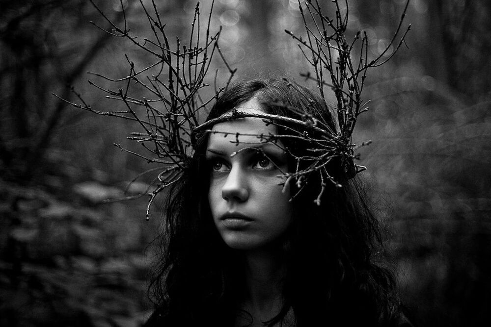 forest
