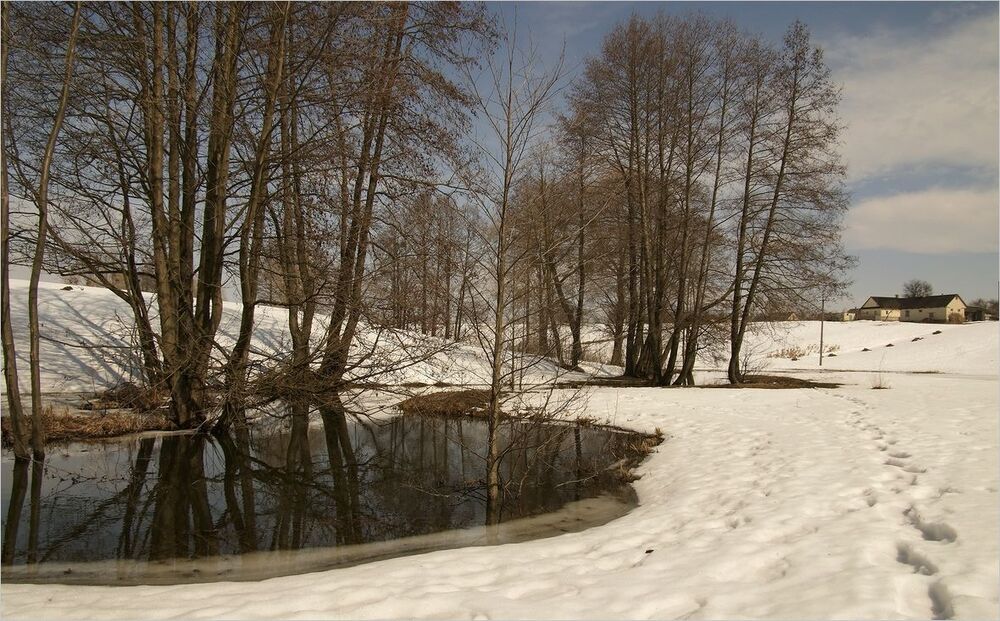 первые ,робкие шаги...