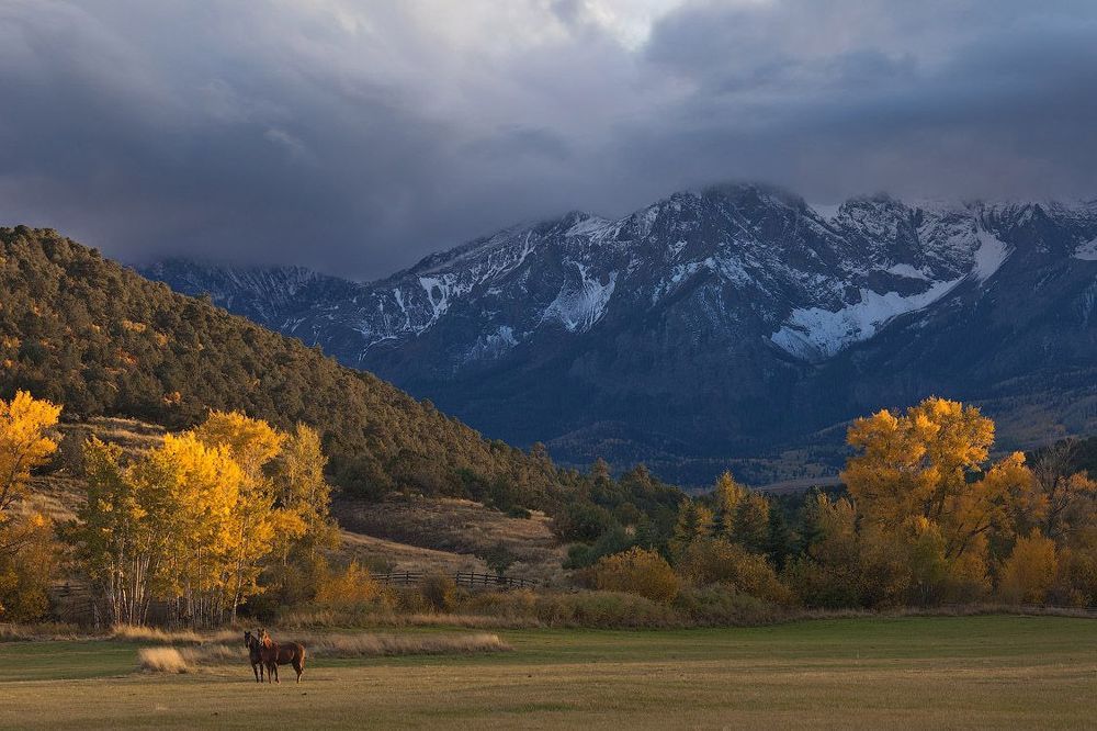Осенняя Пастораль | Fall Pastoral, San Juan Mountains, Colorado, USA