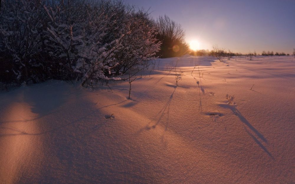 61 февраля