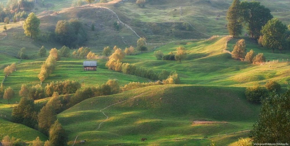 Карпатский The Shire