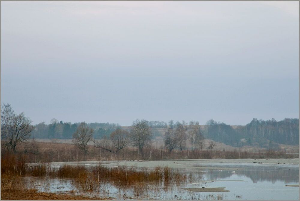 На зорьке