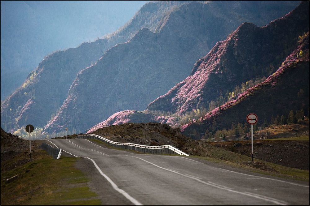 Май, Чуйский тракт