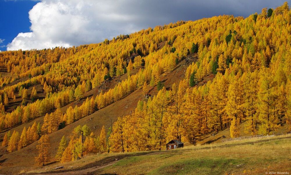 Алтайские открытки