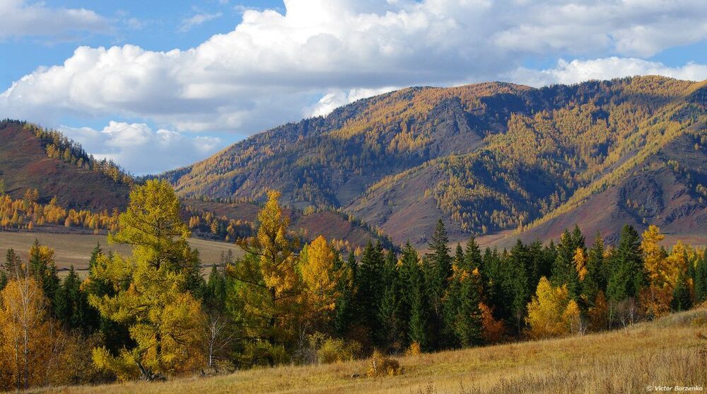 Алтайские открытки