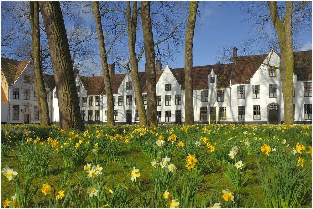 Spring in Bruges.