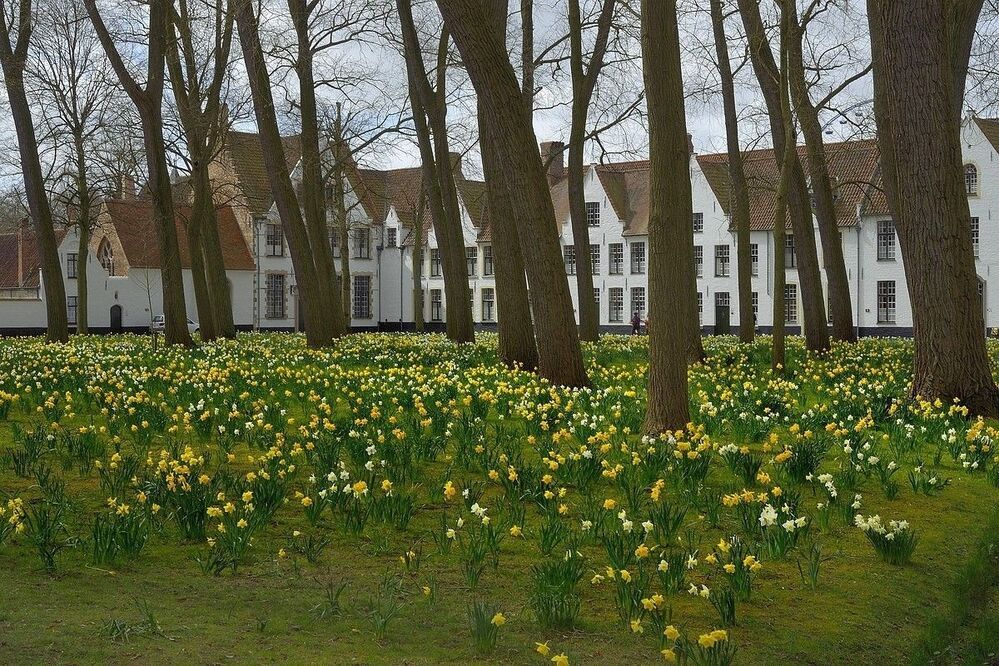 Spring in Bruges.