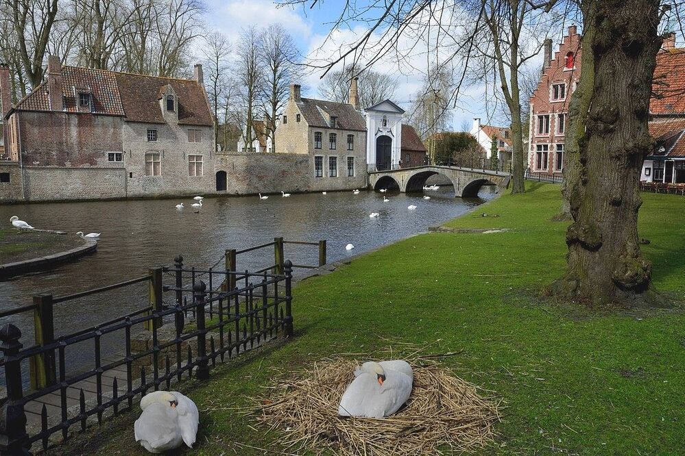 Spring in Bruges.