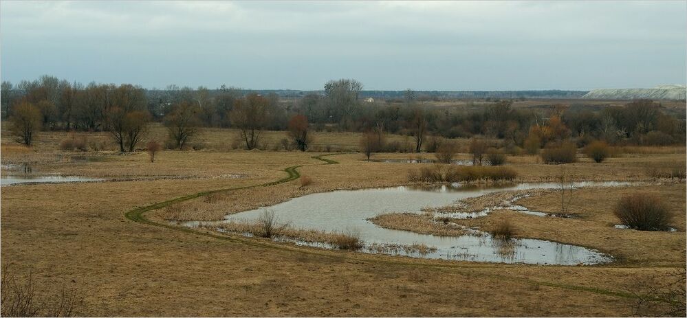 весна