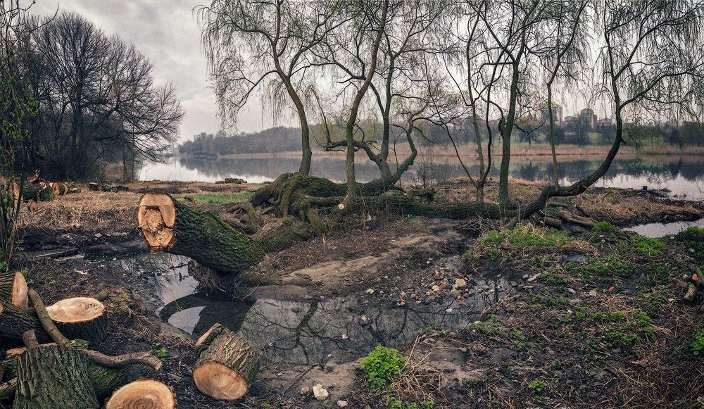 В поисках собаки Баскервиллей