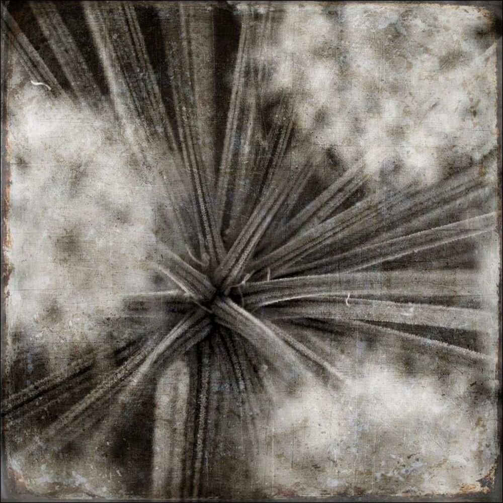 Flora