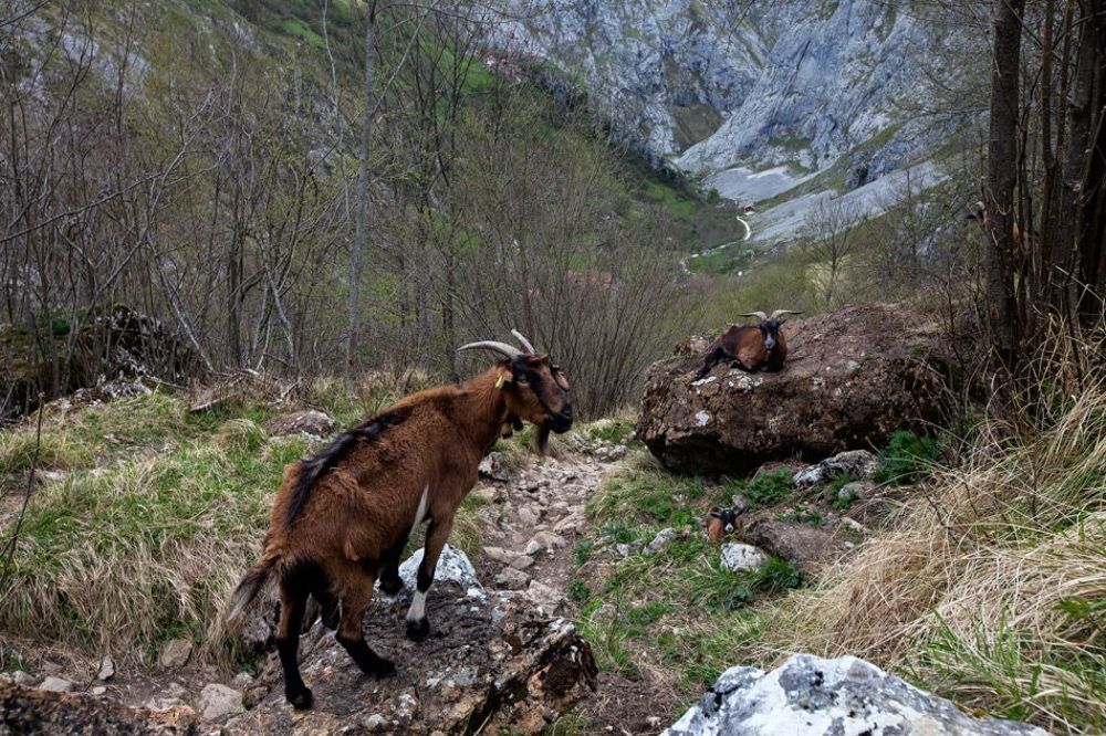 Север Испании