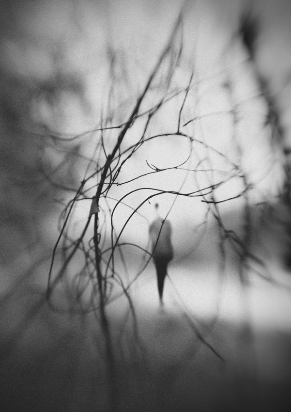 Just Out Of Reach