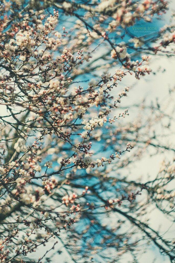 Photo 389395