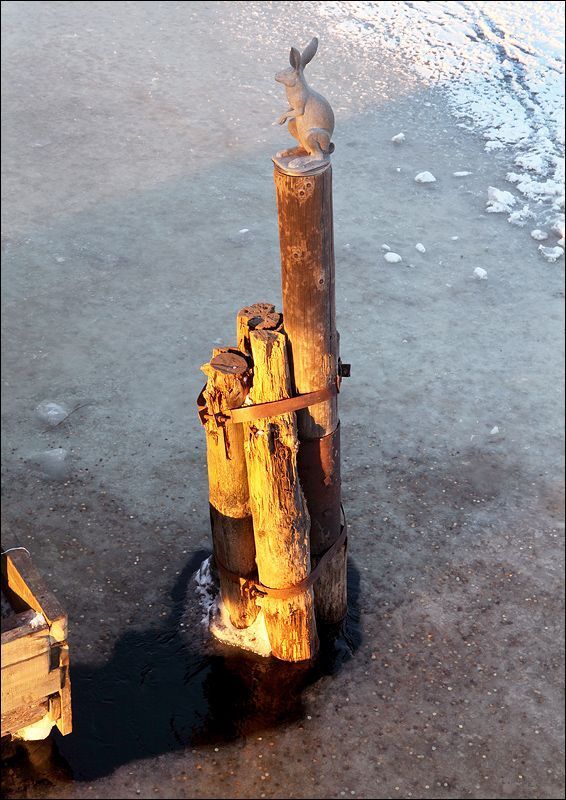 Питерские зарисовки 1.