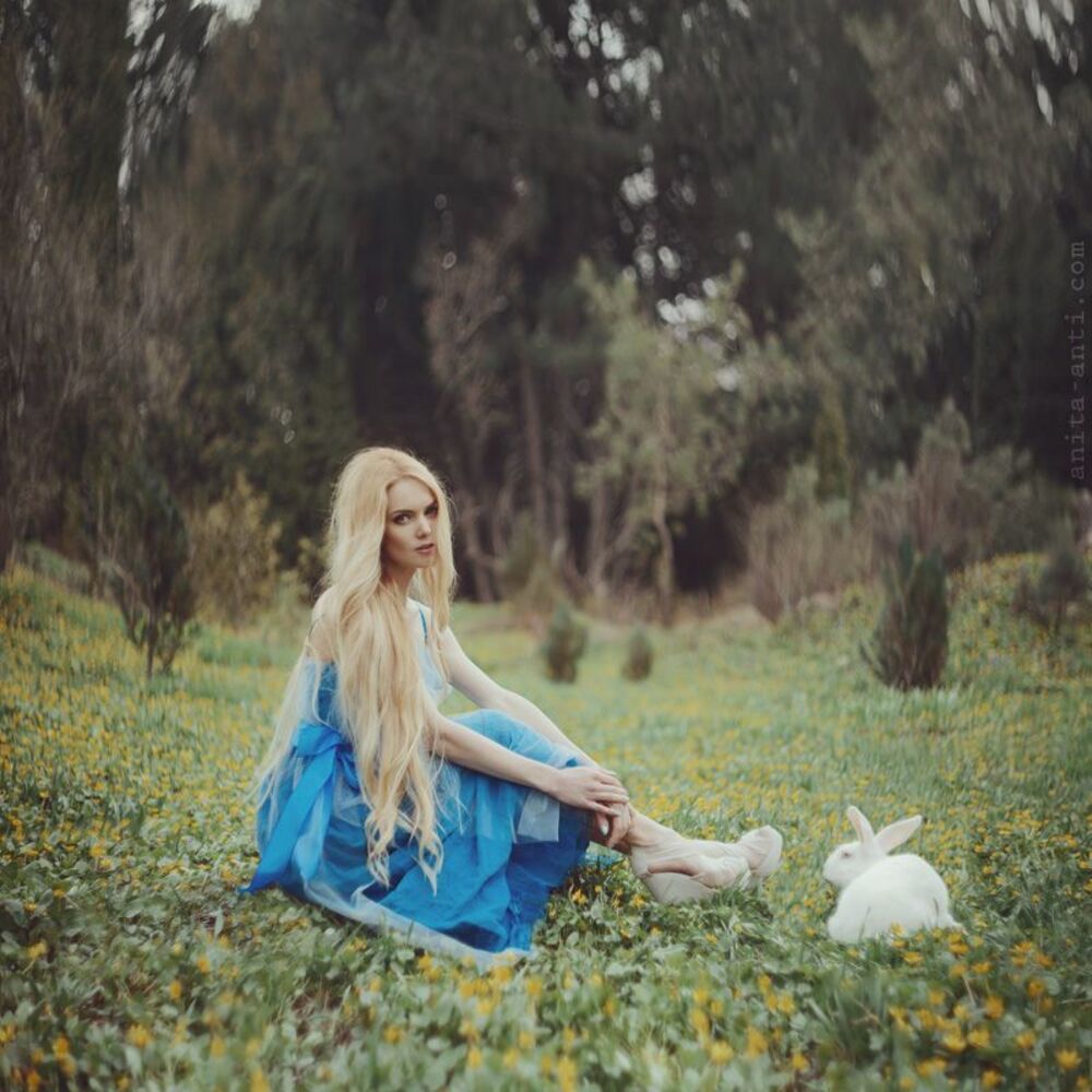 Wonderland