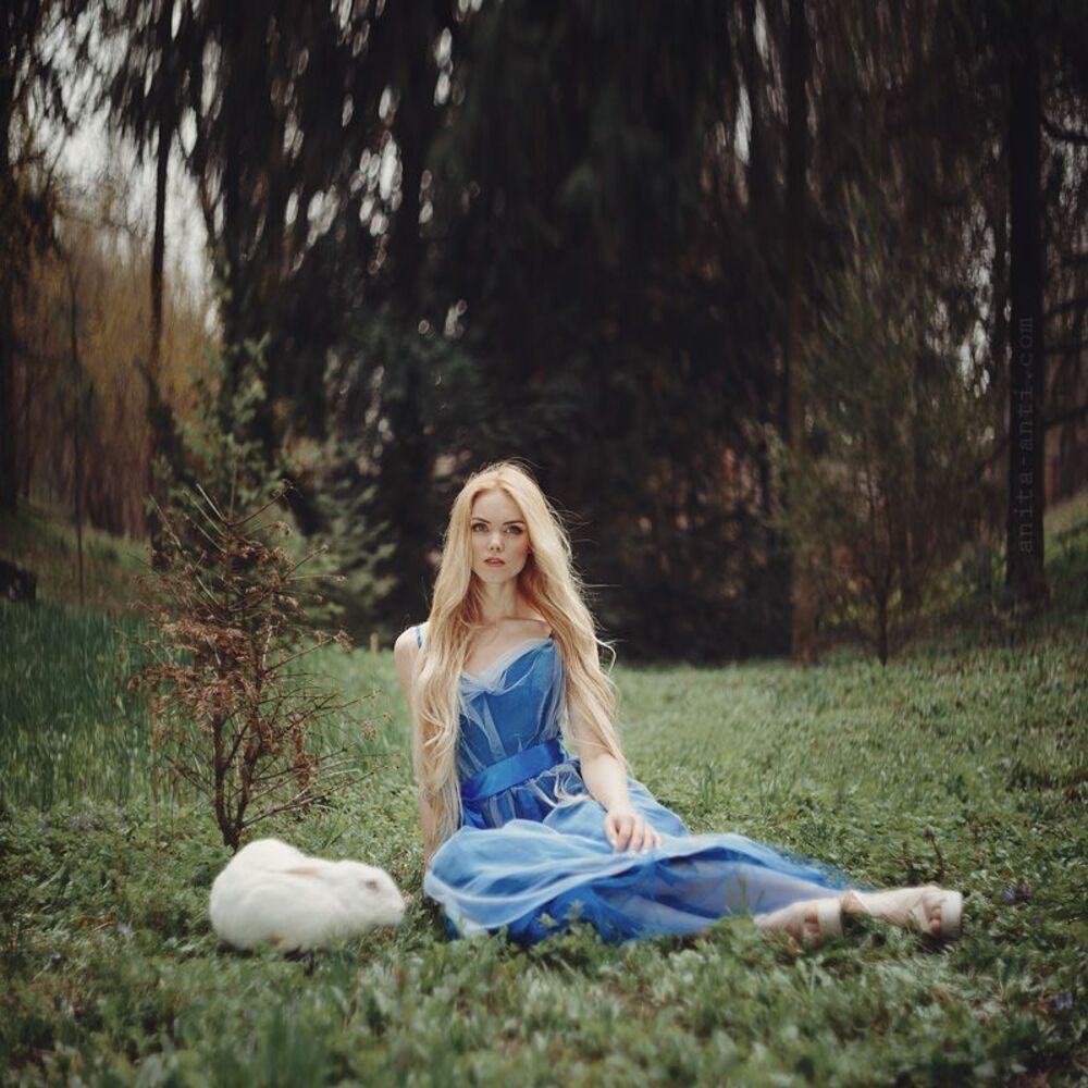 Wonderland