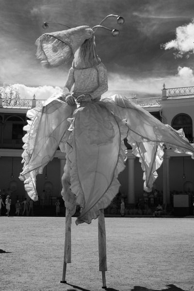 The Flowerman 2010