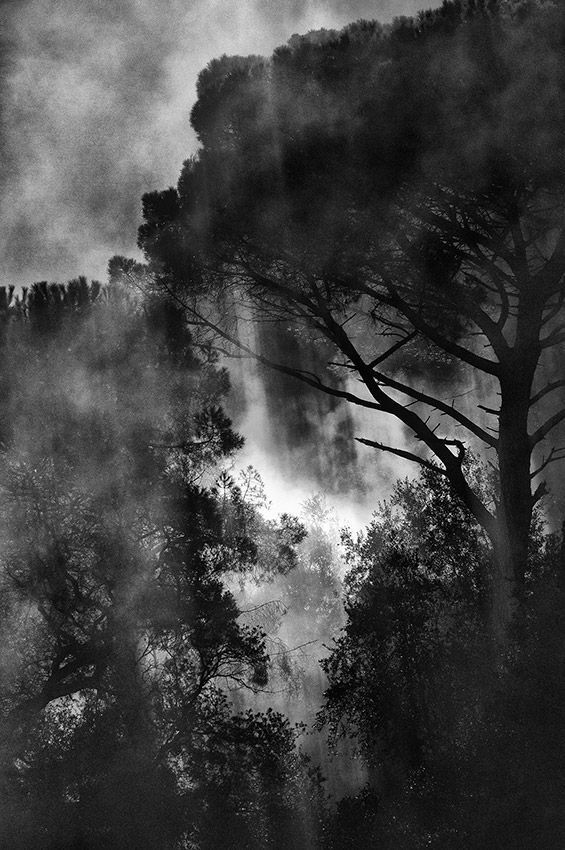 fog & light