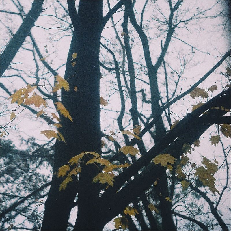 Разное