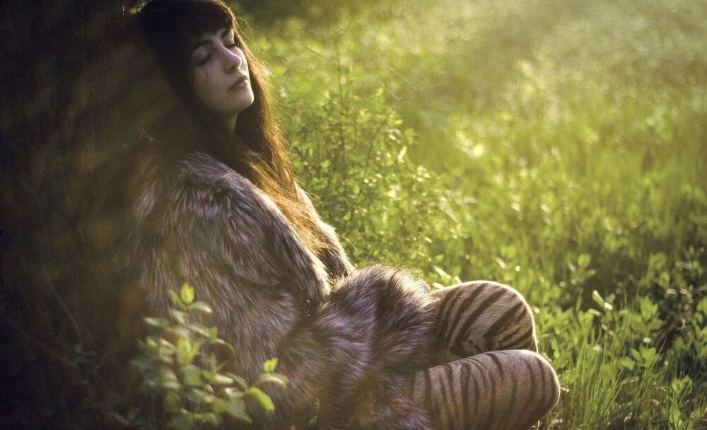 morning-nature-sun