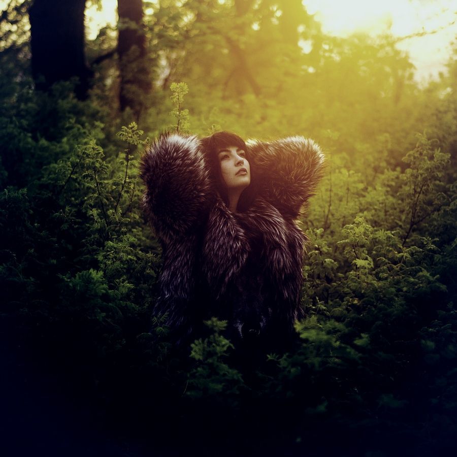morning-nature-sun