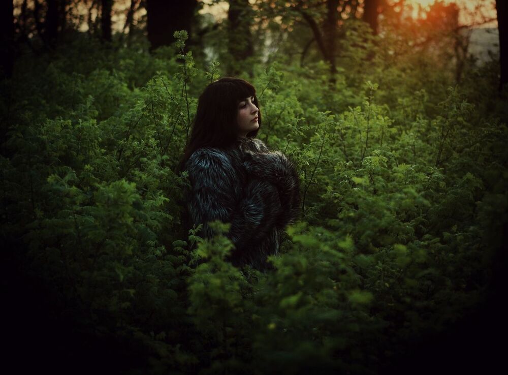 morning-nature-sun