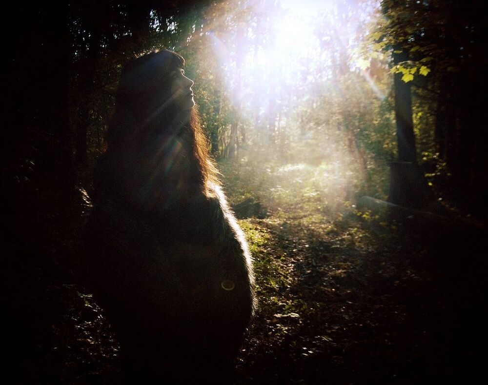 morning-nature-sun