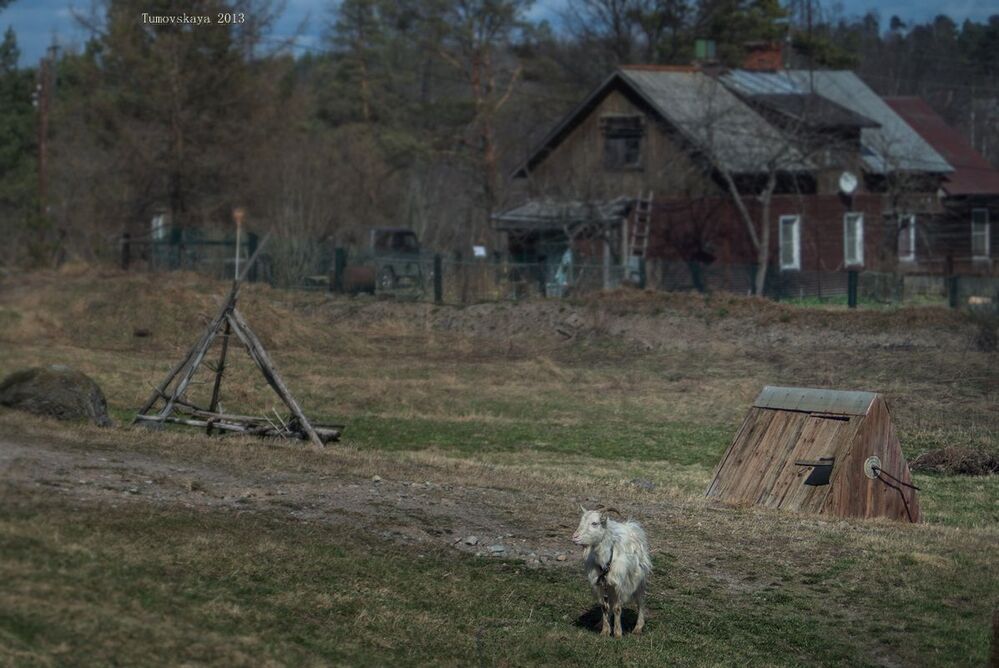 Весна на земле Карелии