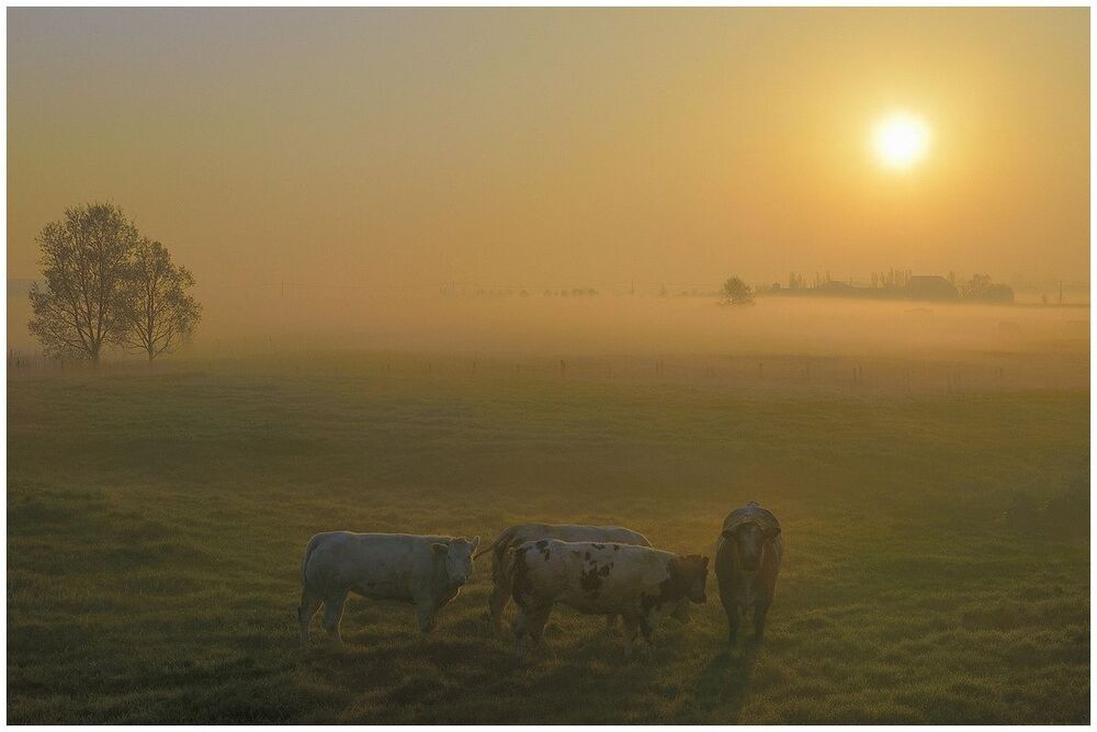 This morning at 6 am.